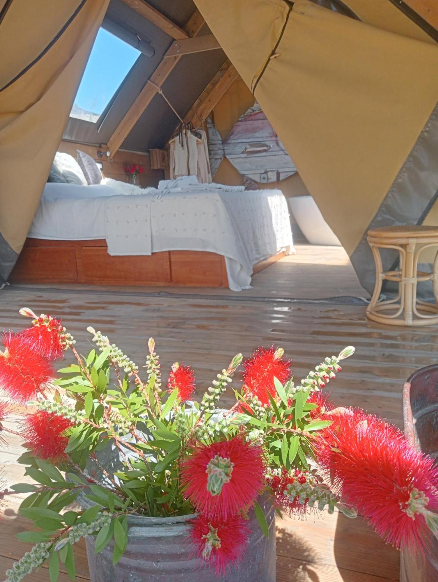 Agriturismo Podere il Fornacino Santa Luce Esterno foto