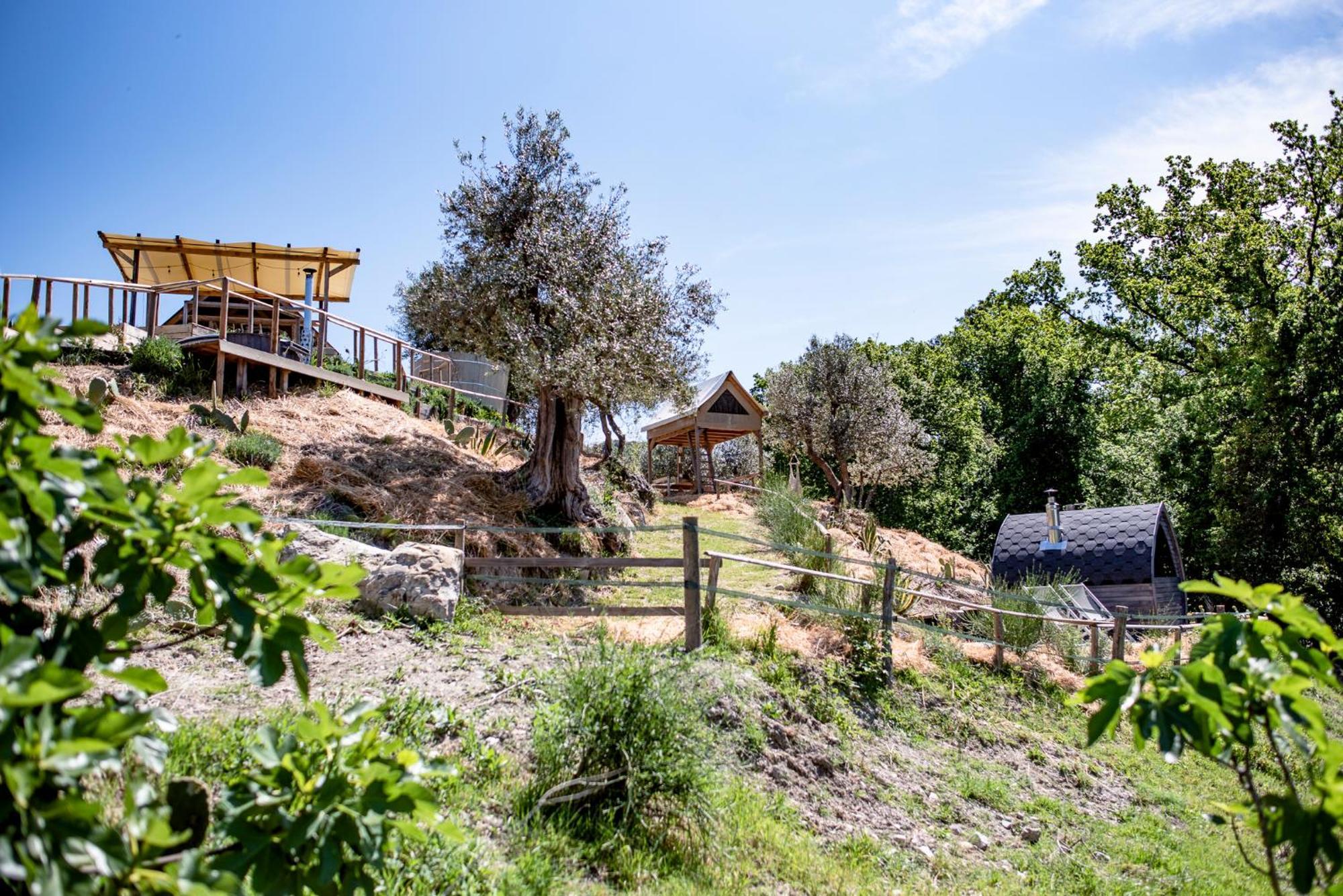Agriturismo Podere il Fornacino Santa Luce Esterno foto